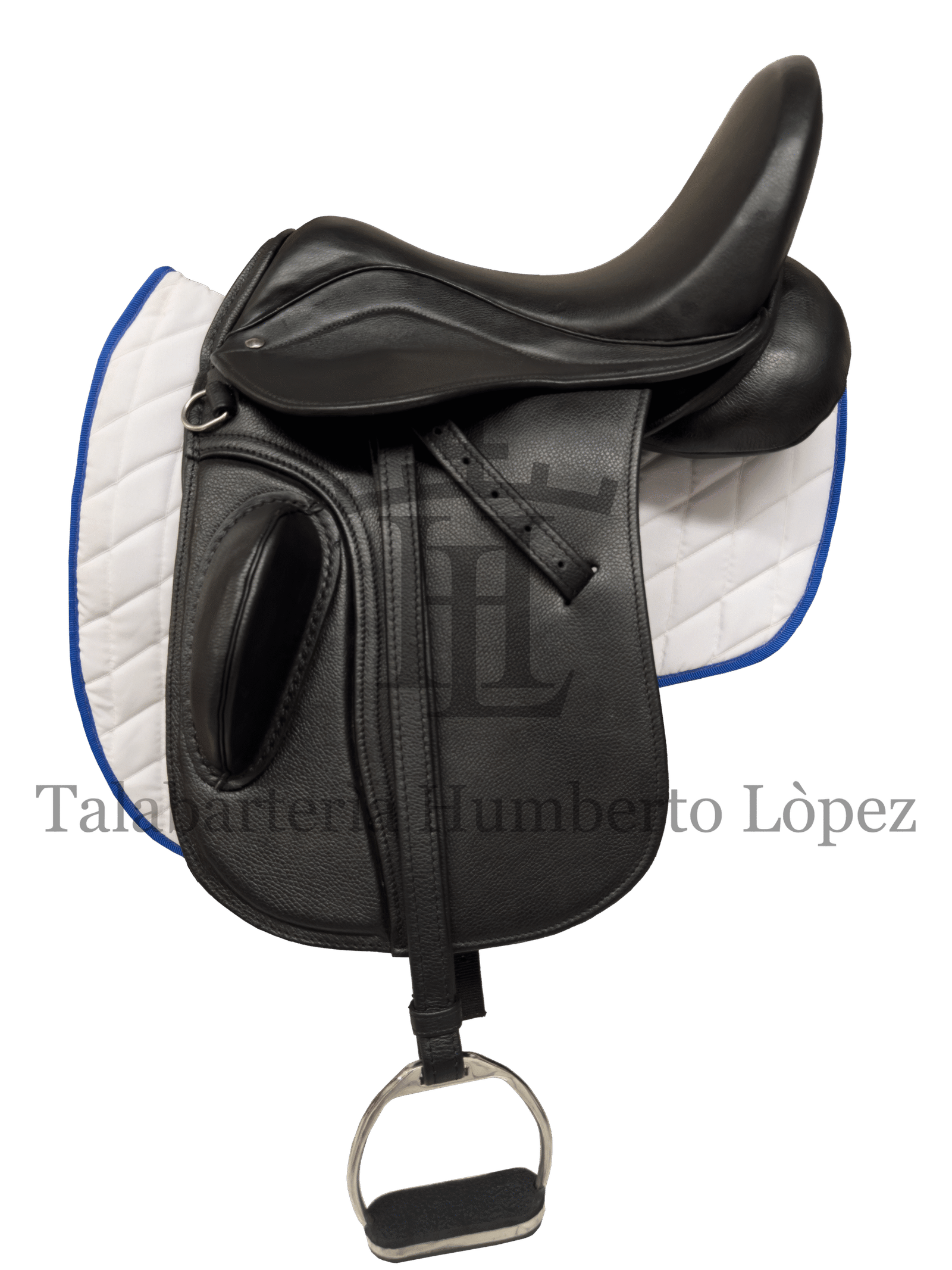 IMG_4096 Montura Inglesa